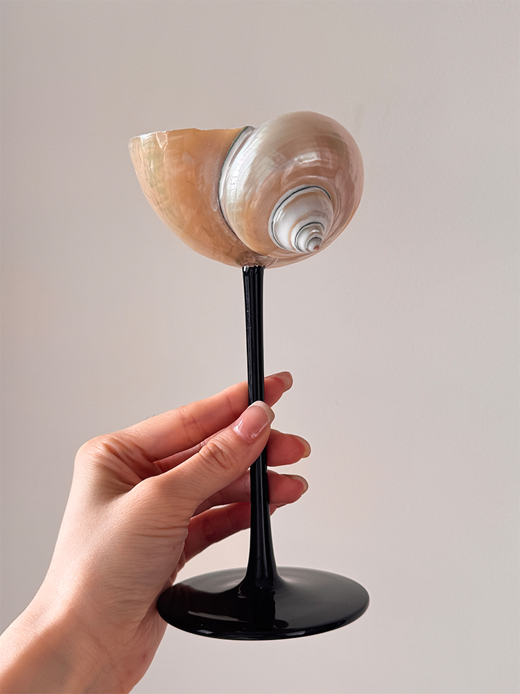 Natural Conch Shell Champagne  - огляд і ціна Home Bar Set